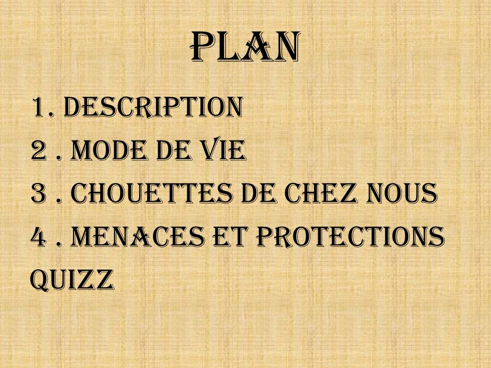Plan 1. Description 2 . Mode de vie 3 . Chouettes de chez nous 4 . Menaces et protections Quizz