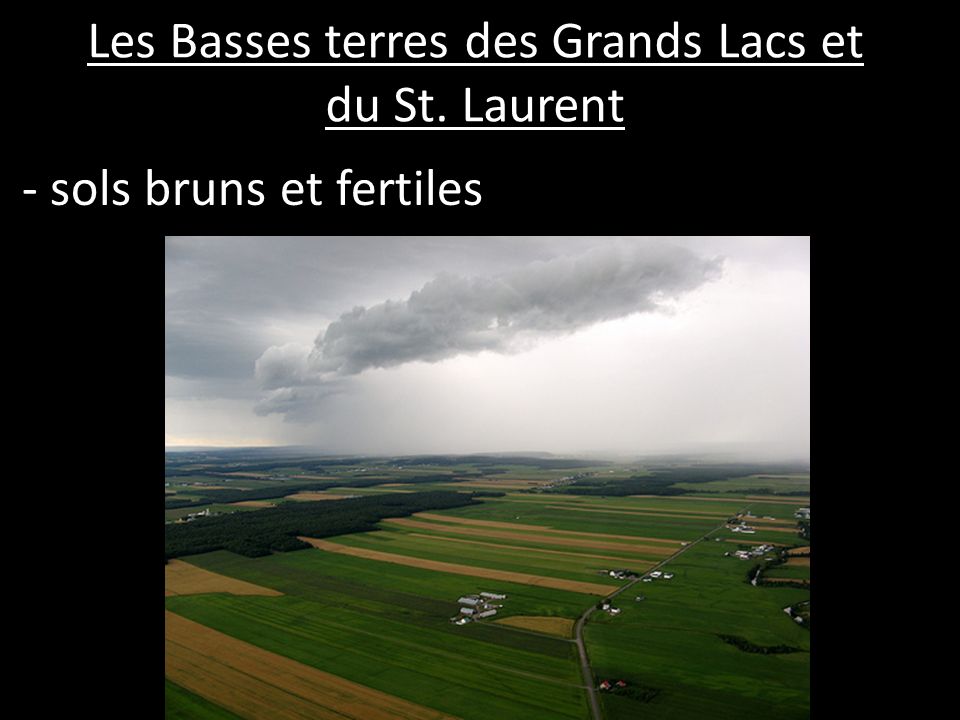 Les Basses terres des Grands Lacs et du St. Laurent