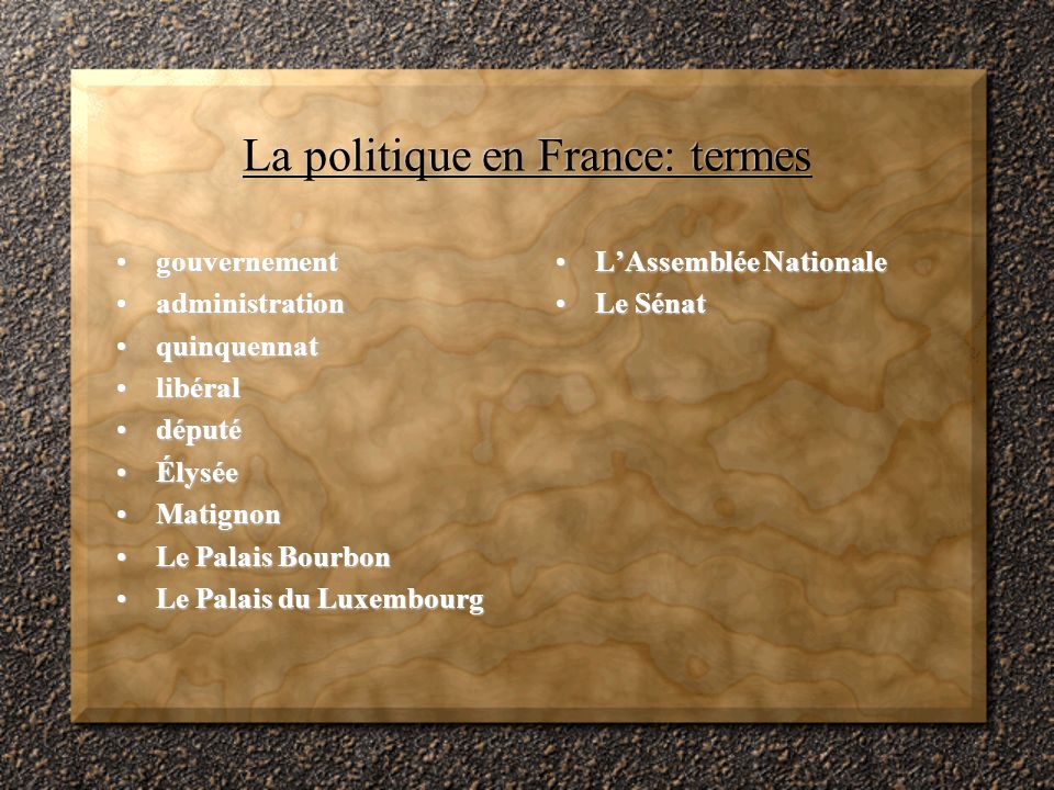 La politique en France: termes