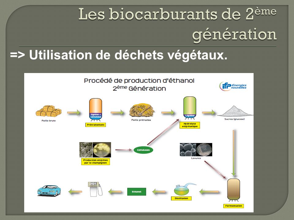 Les biocarburants de 2ème génération