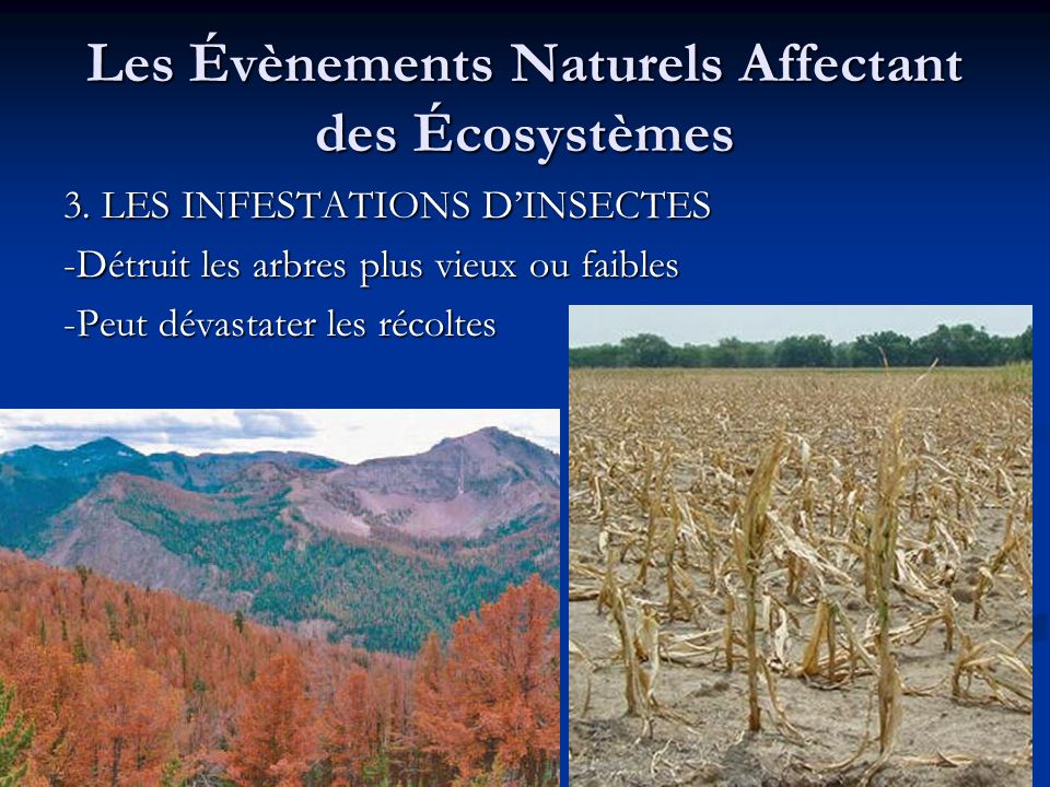 Les Évènements Naturels Affectant des Écosystèmes