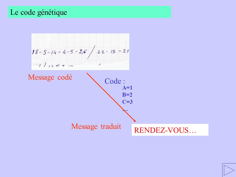Le code génétique Message codé Code : Message traduit RENDEZ-VOUS…
