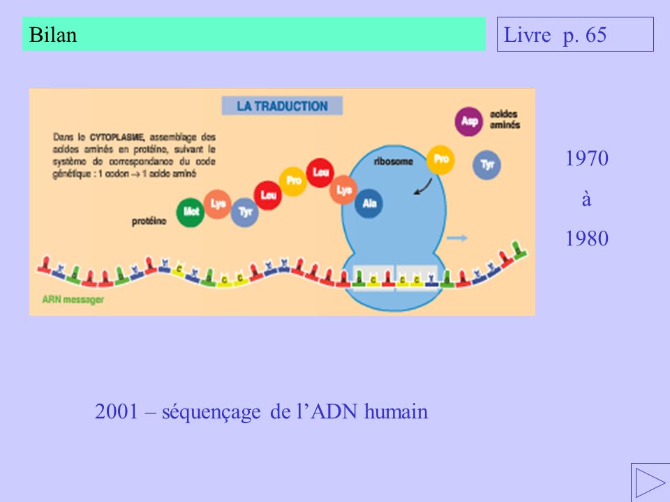 2001 – séquençage de l’ADN humain