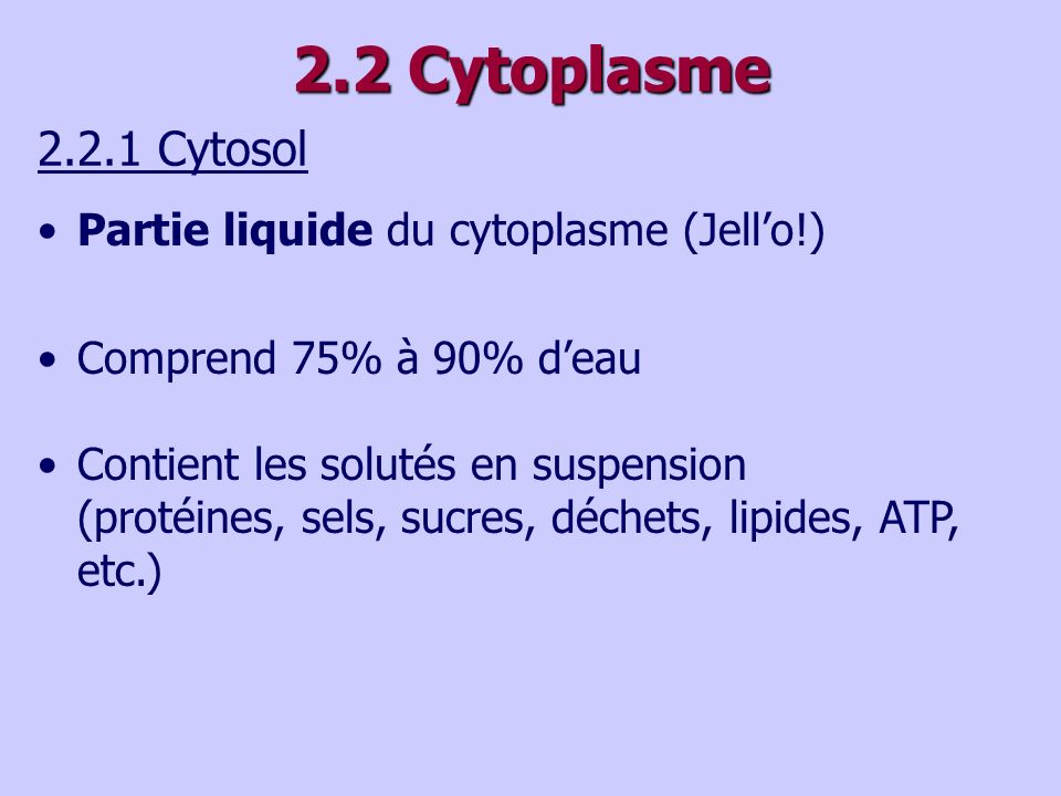 2.2 Cytoplasme Cytosol Partie liquide du cytoplasme (Jell’o!)