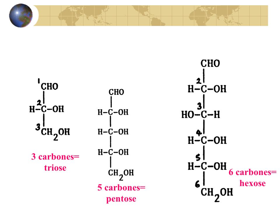 3 carbones= triose 6 carbones= hexose 5 carbones= pentose