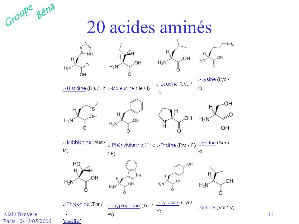 20 acides aminés Alain Bruyère Paris 12-13/05/2006