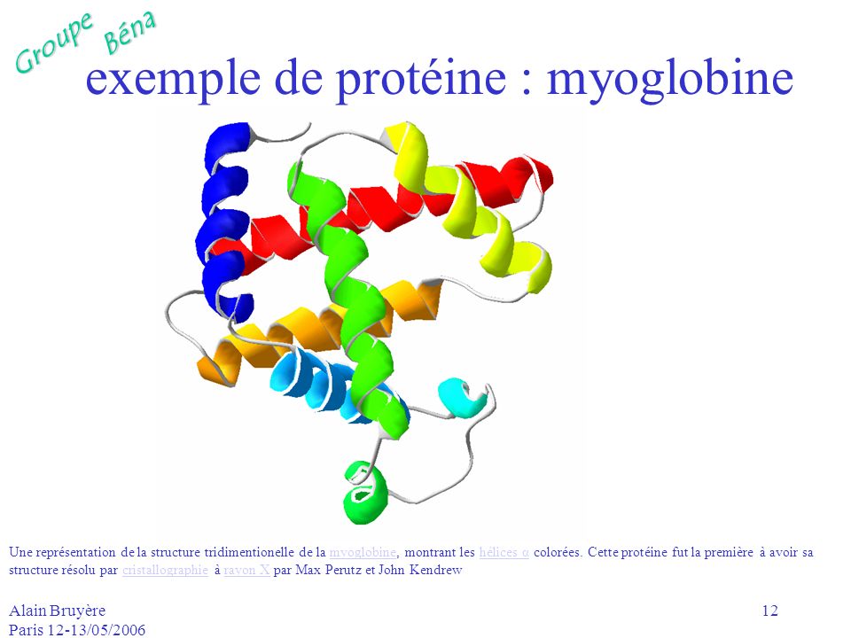 exemple de protéine : myoglobine