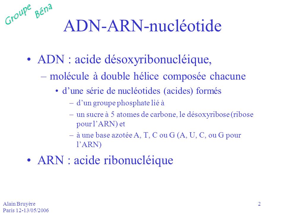 ADN-ARN-nucléotide ADN : acide désoxyribonucléique,
