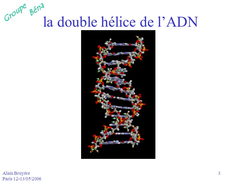 la double hélice de l’ADN