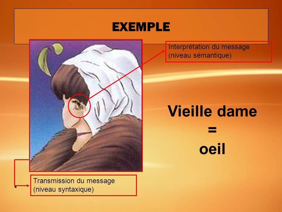 Vieille dame = oeil EXEMPLE