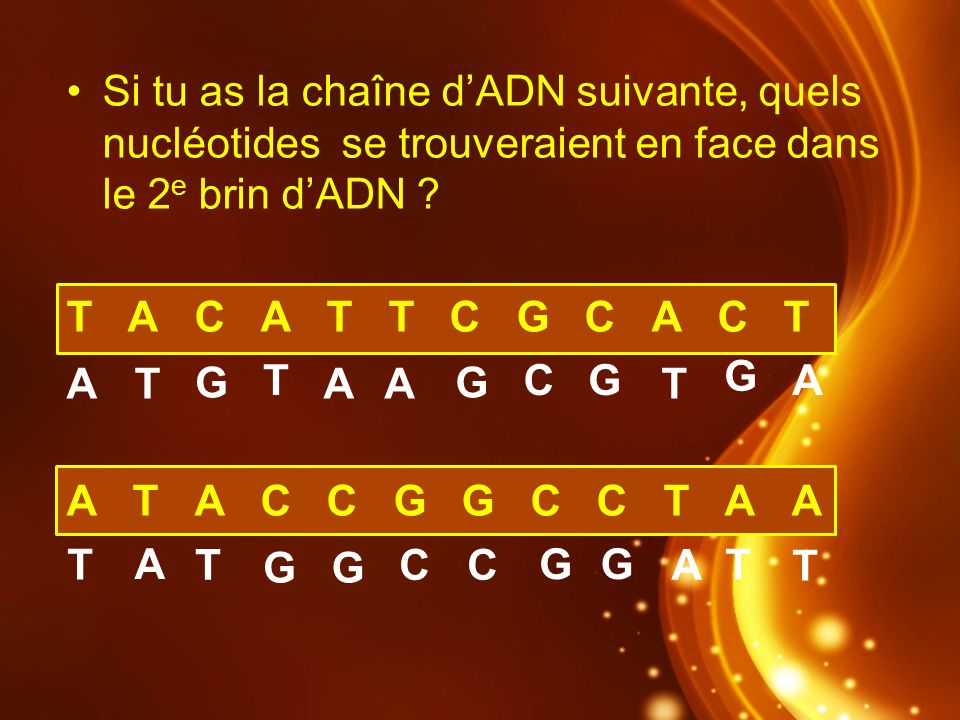 Si tu as la chaîne d’ADN suivante, quels nucléotides se trouveraient en face dans le 2e brin d’ADN