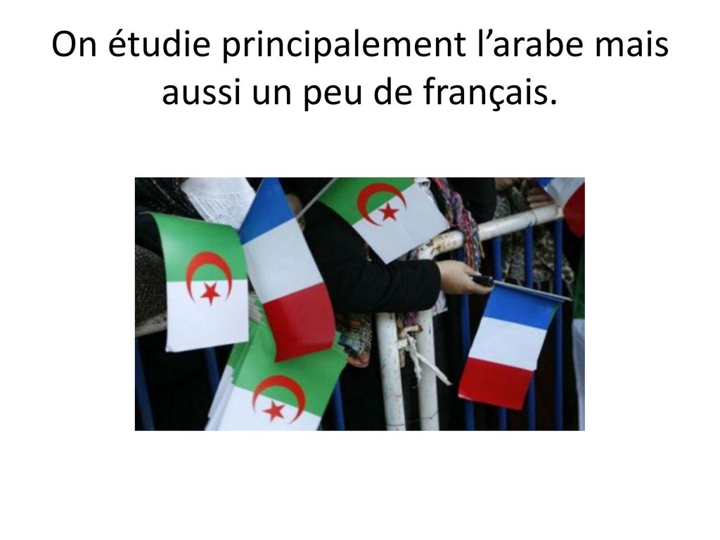 On étudie principalement l’arabe mais aussi un peu de français.