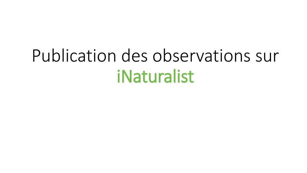 Publication des observations sur iNaturalist