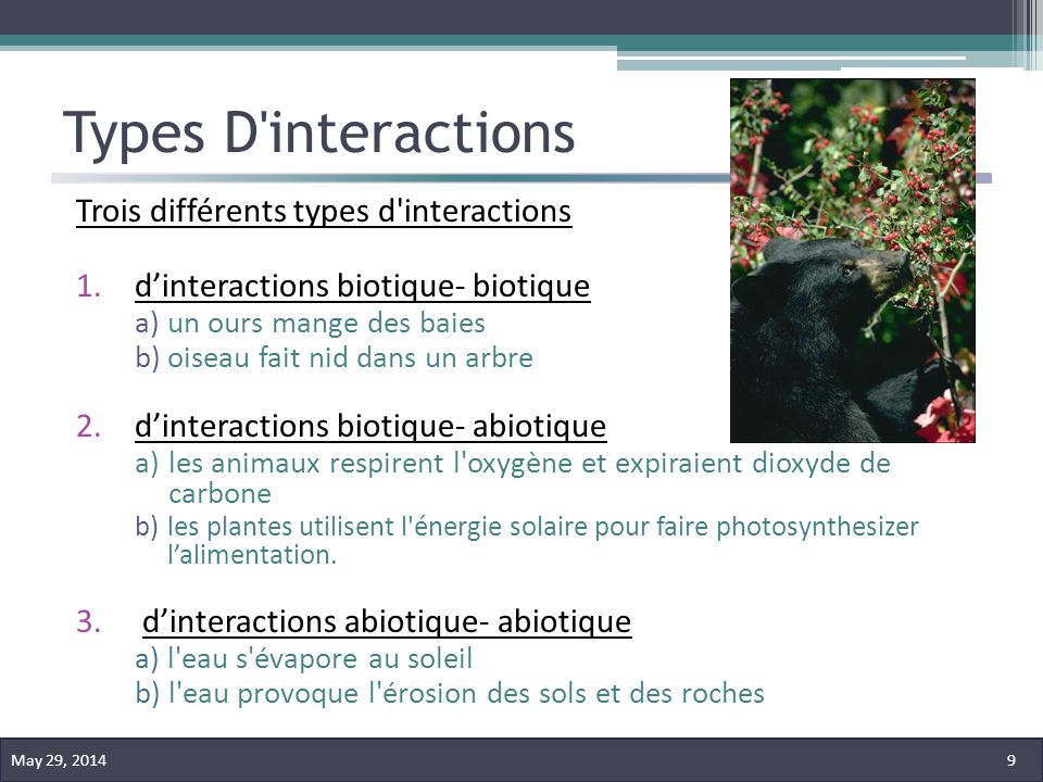 Types D interactions Trois différents types d interactions
