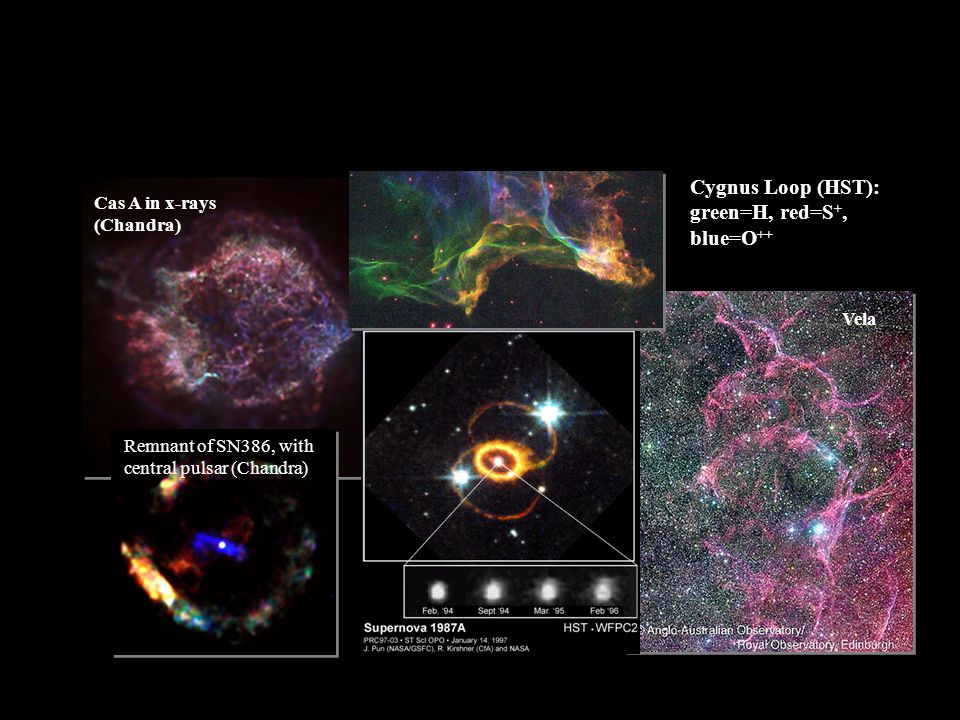 Supernova remnants Cygnus Loop (HST): green=H, red=S+, blue=O++
