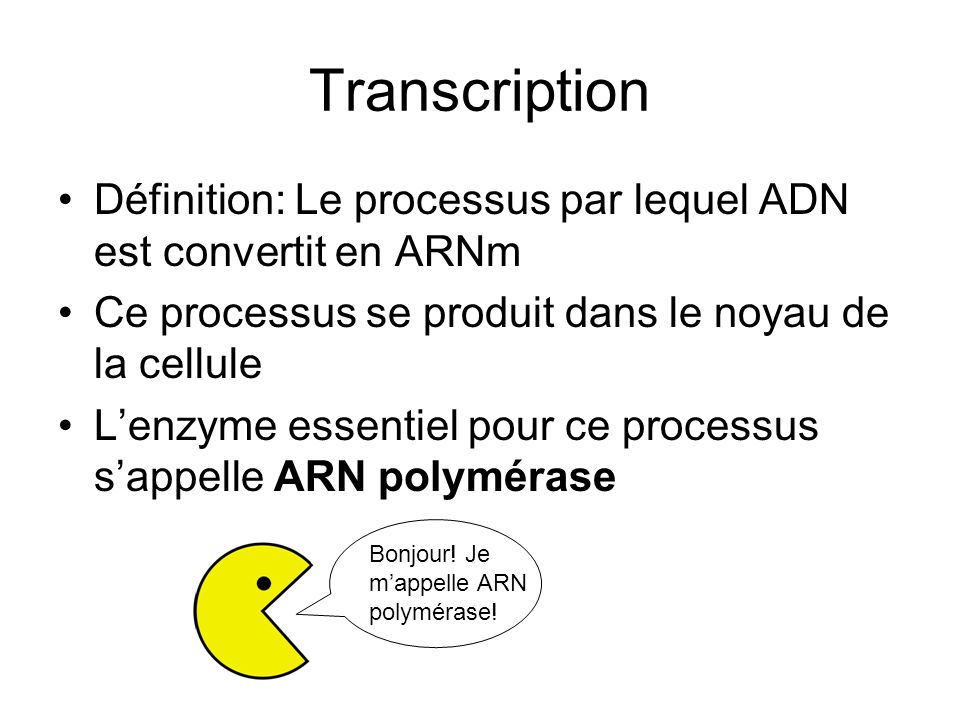 Transcription Définition: Le processus par lequel ADN est convertit en ARNm. Ce processus se produit dans le noyau de la cellule.