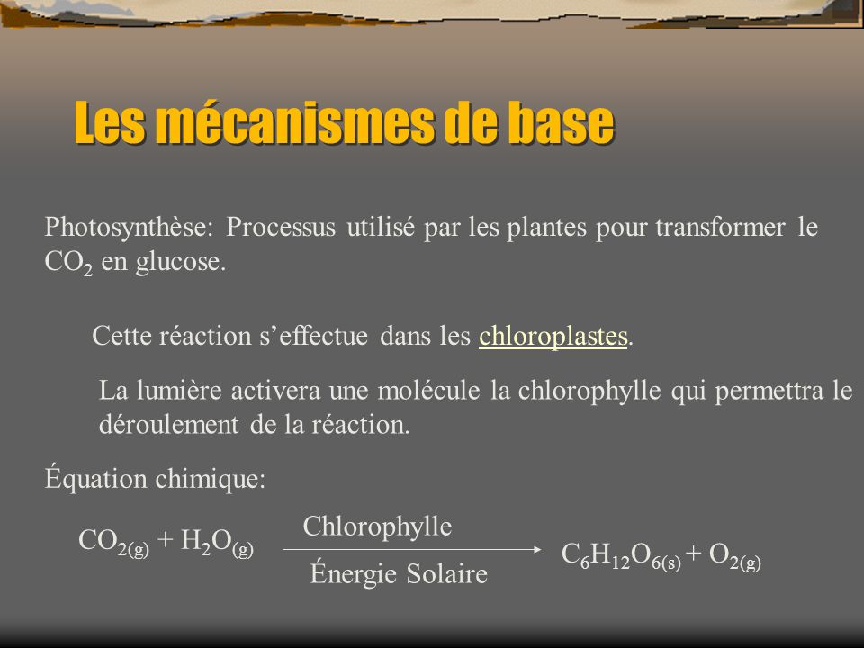 Les mécanismes de base Photosynthèse: Processus utilisé par les plantes pour transformer le CO2 en glucose.