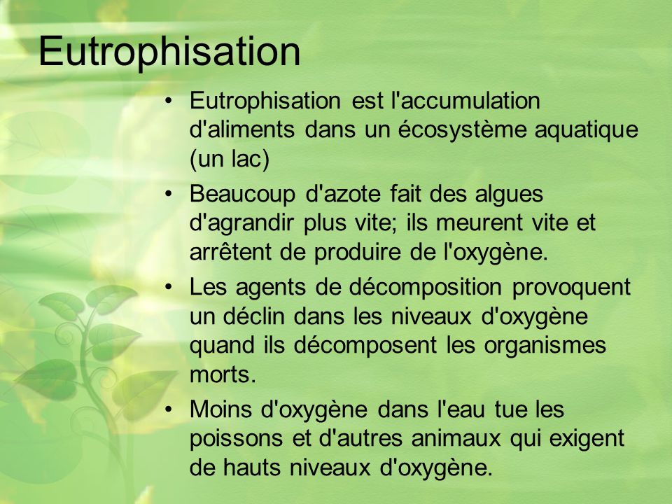 Eutrophisation Eutrophisation est l accumulation d aliments dans un écosystème aquatique (un lac)