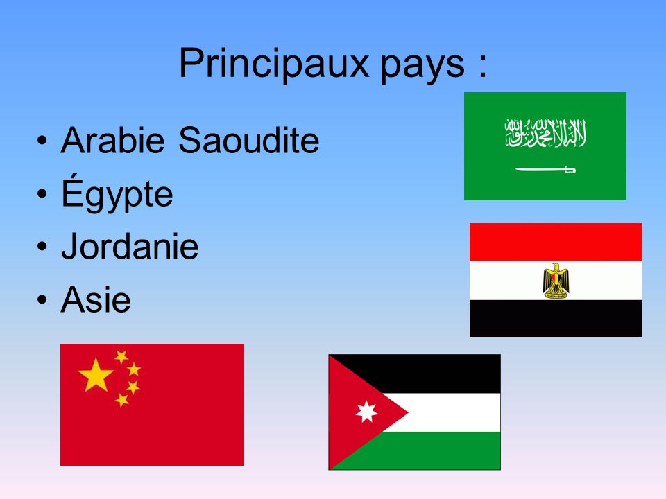 Principaux pays : Arabie Saoudite Égypte Jordanie Asie