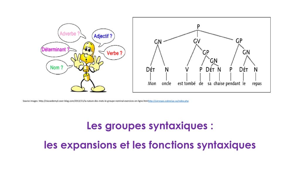 Les groupes syntaxiques : les expansions et les fonctions syntaxiques