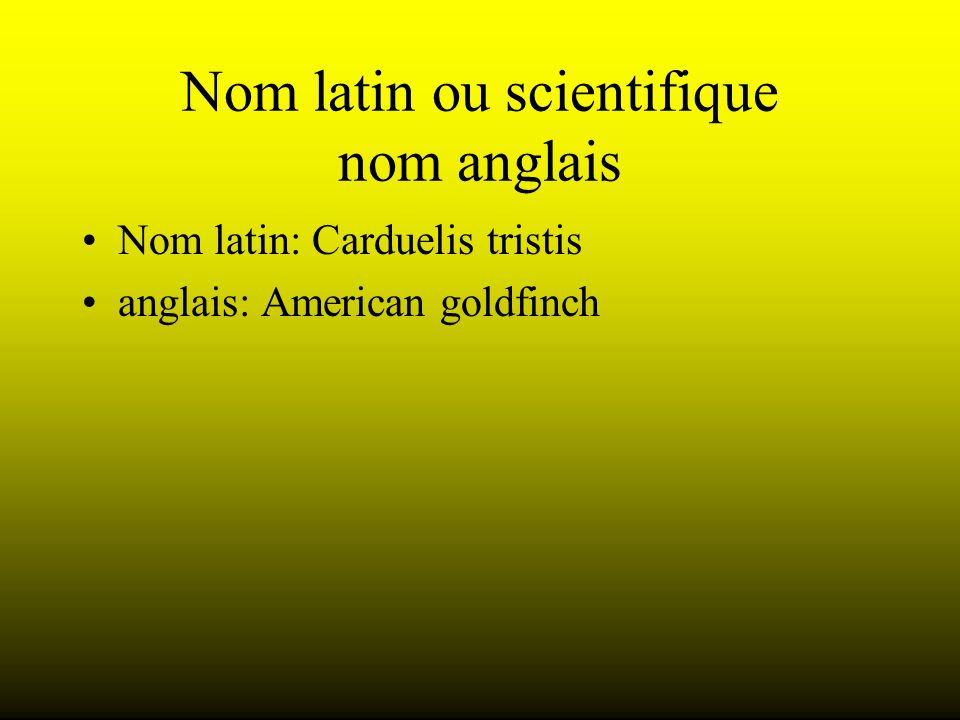 Nom latin ou scientifique nom anglais