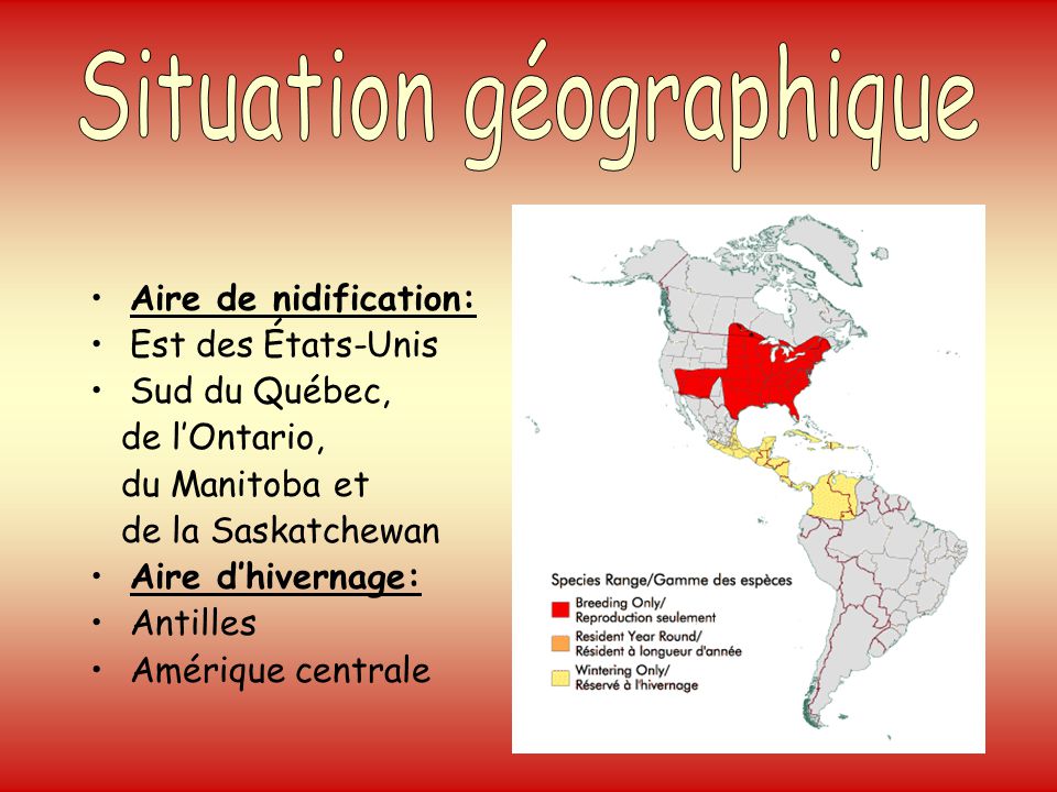 Situation géographique