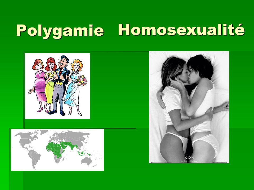 Polygamie Homosexualité