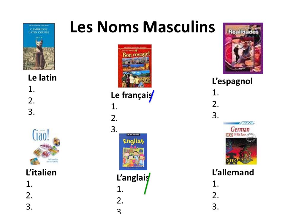 Les Noms Masculins Le latin L’espagnol Le français