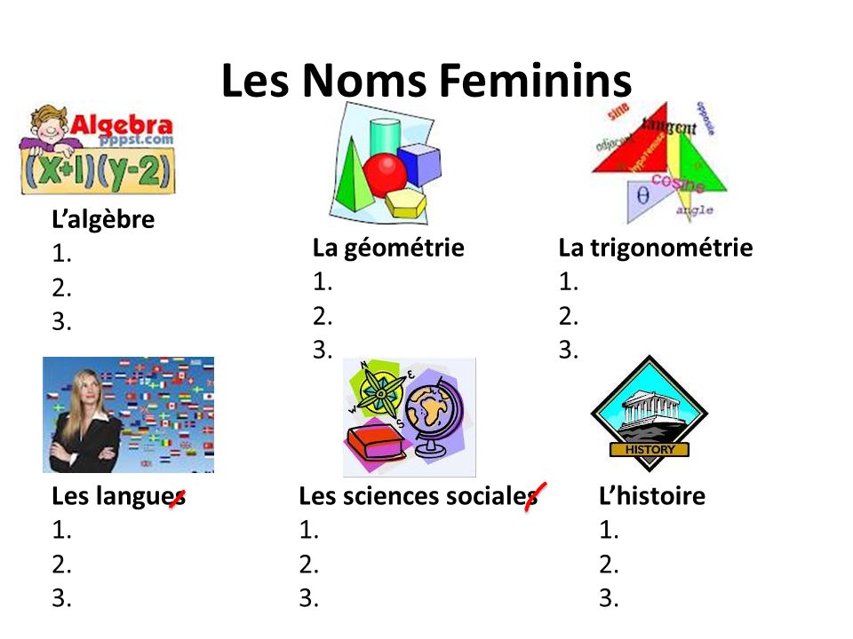 Les Noms Feminins L’algèbre La géométrie