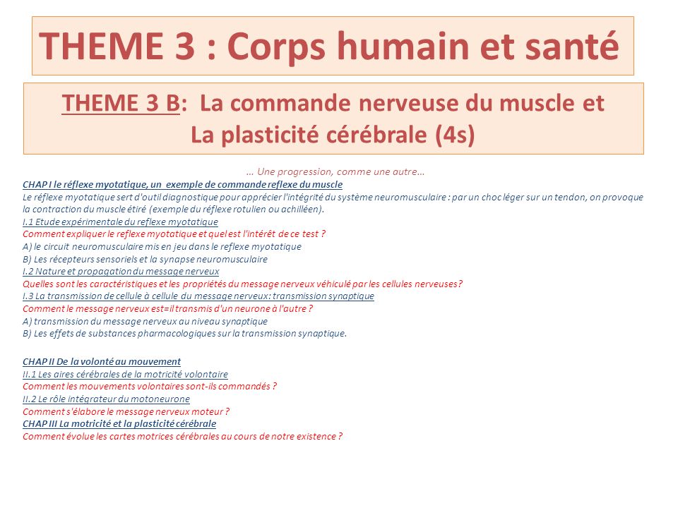 THEME 3 : Corps humain et santé