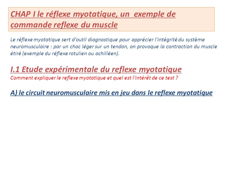 CHAP I le réflexe myotatique, un exemple de commande reflexe du muscle
