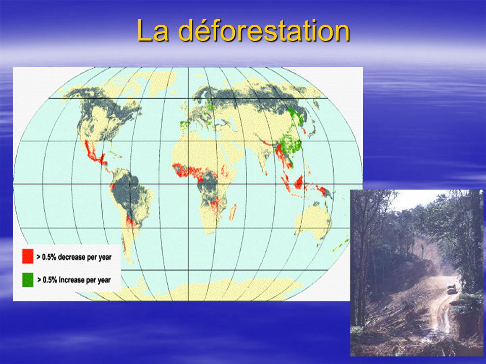 La déforestation