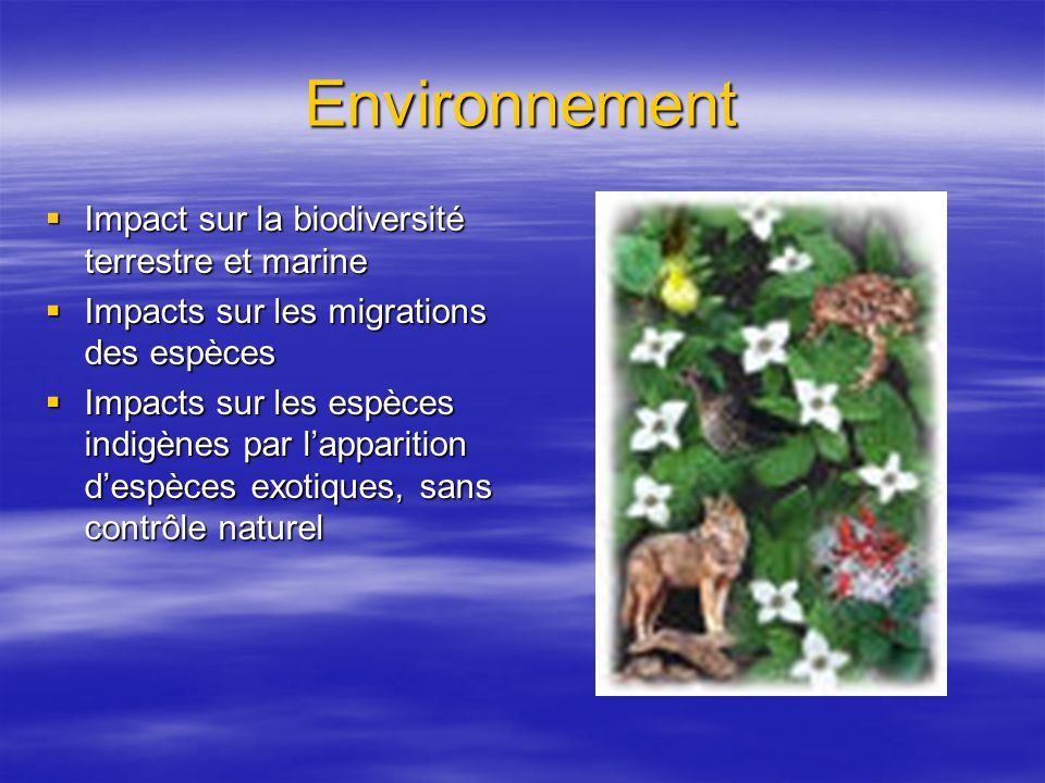 Environnement Impact sur la biodiversité terrestre et marine