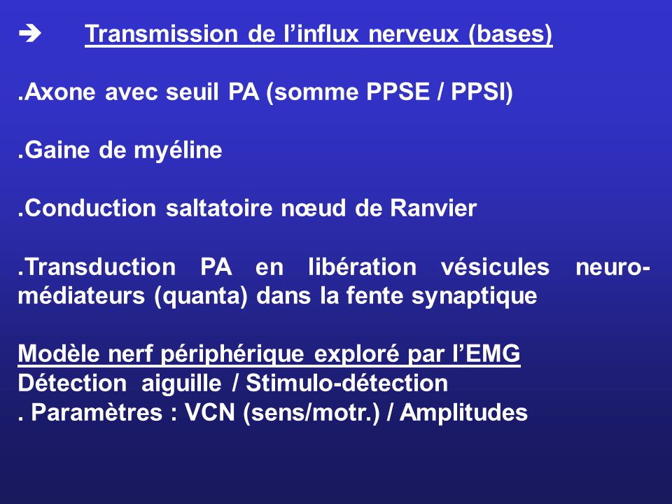  Transmission de l’influx nerveux (bases)