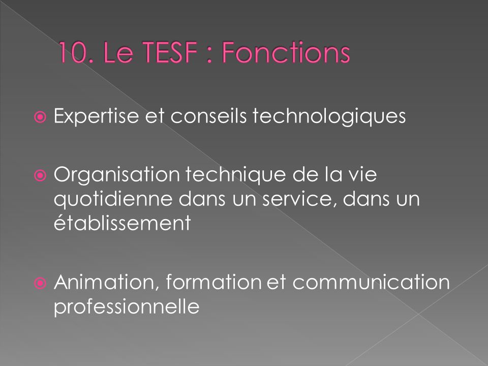 10. Le TESF : Fonctions Expertise et conseils technologiques