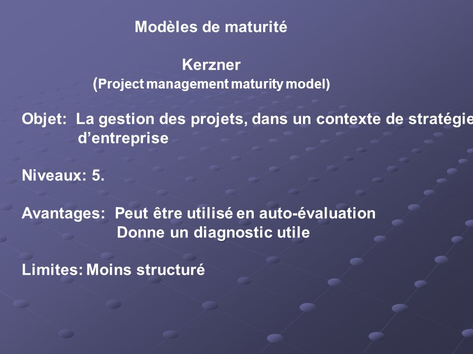 (Project management maturity model)