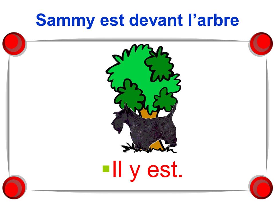 Sammy est devant l’arbre