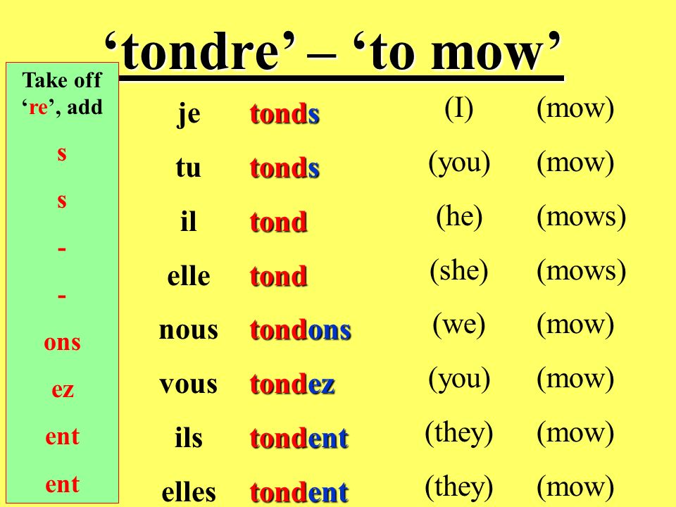 ‘tondre’ – ‘to mow’ (I) (you) (he) (she) (we) (they) (mow) (mows) je