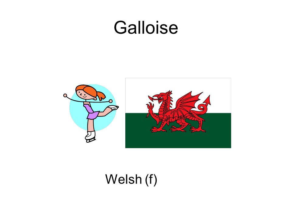 Galloise Welsh (f)