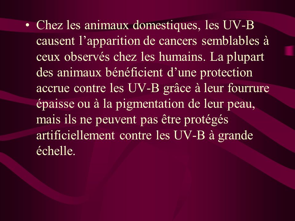 Chez les animaux domestiques, les UV-B causent l’apparition de cancers semblables à ceux observés chez les humains.
