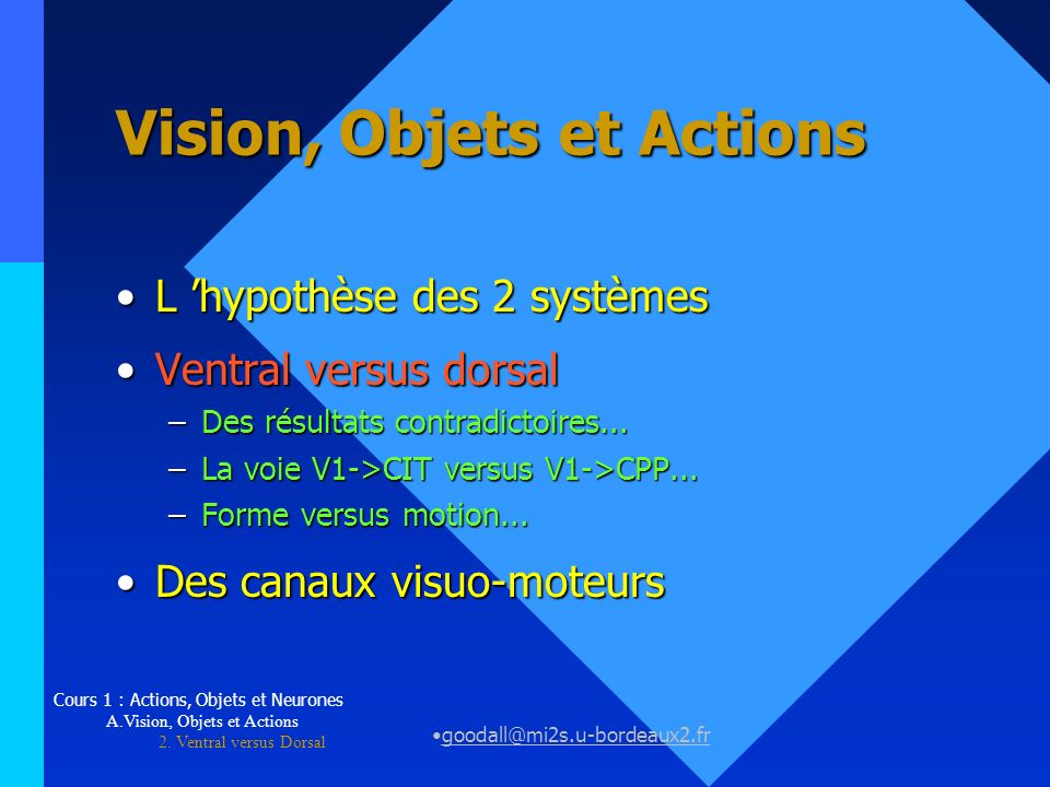 Vision, Objets et Actions