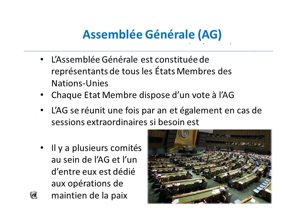 Assemblée Générale (AG)