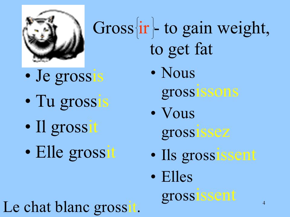 Gross ir - to gain weight, to get fat