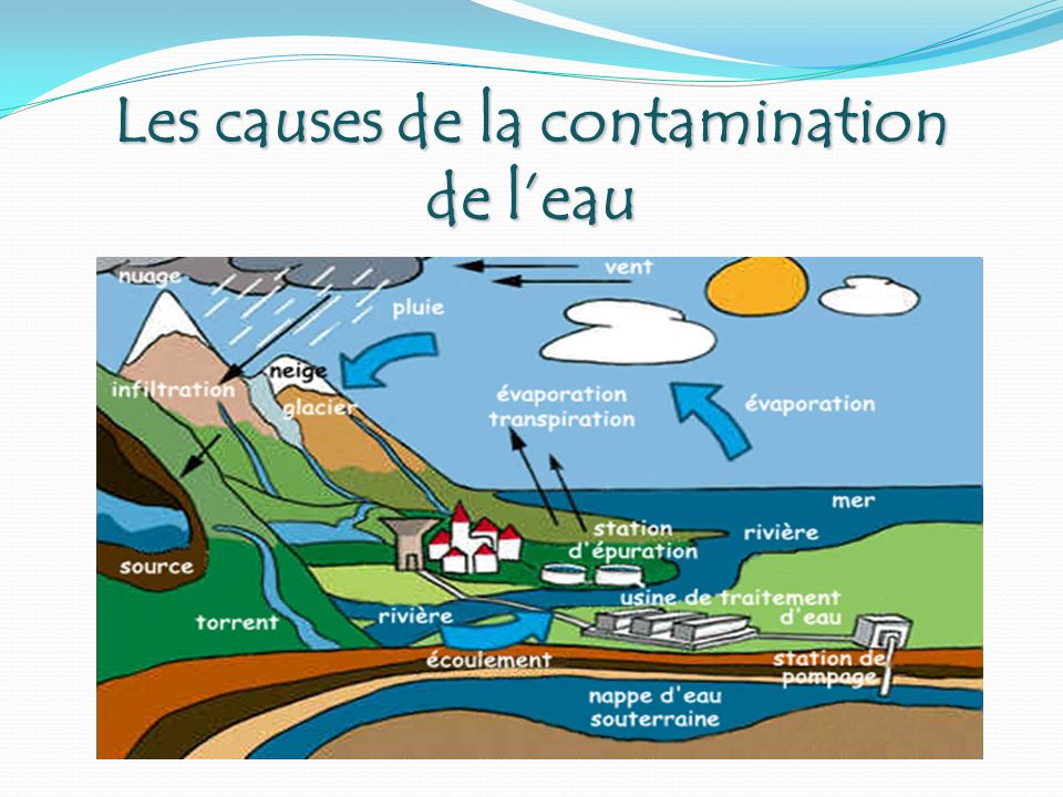 Les causes de la contamination de l’eau