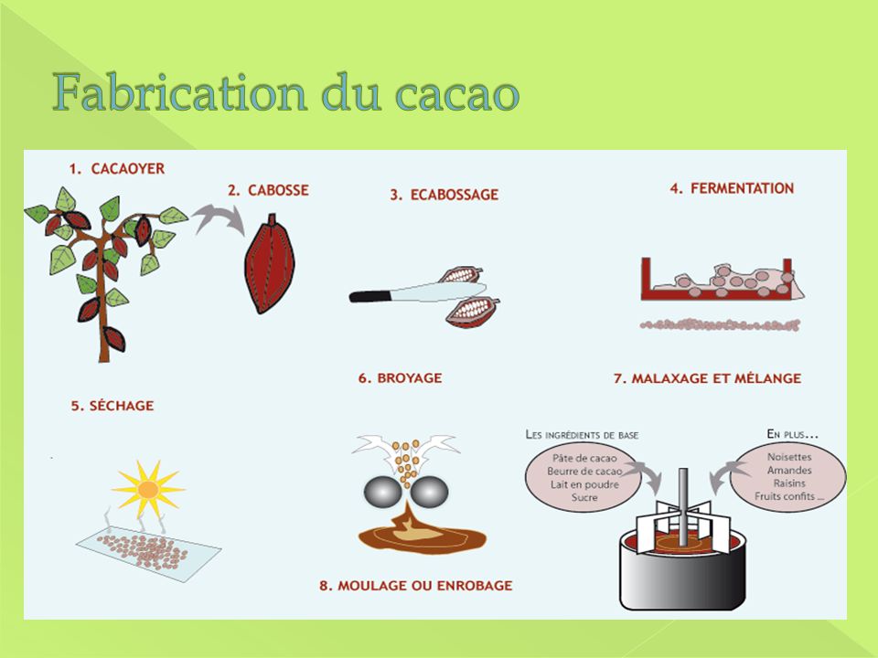 Fabrication du cacao