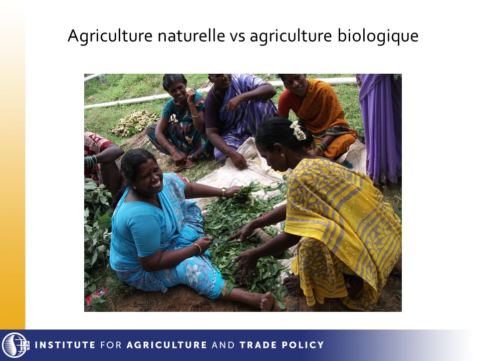 Agriculture naturelle vs agriculture biologique