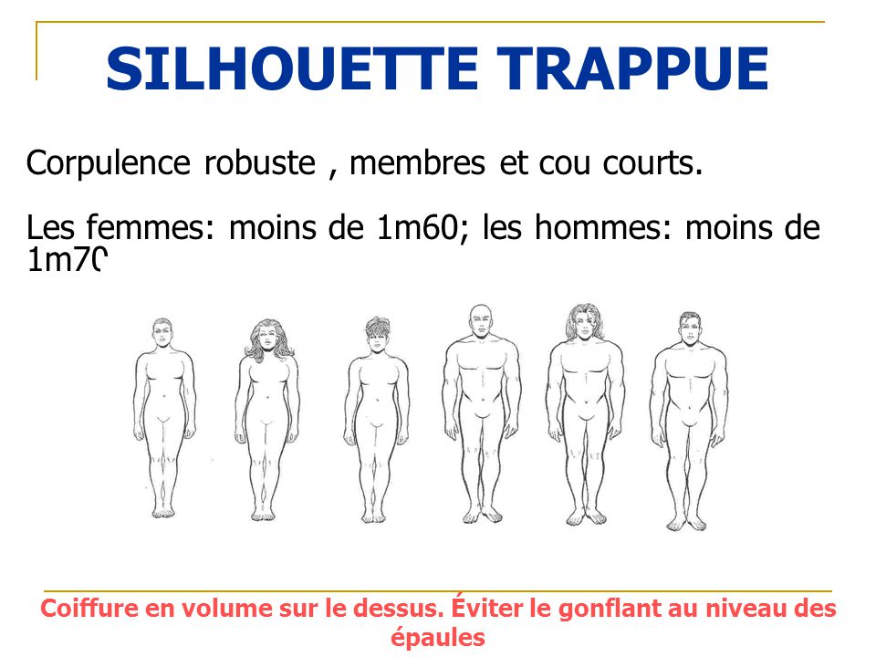SILHOUETTE TRAPPUE Corpulence robuste , membres et cou courts.