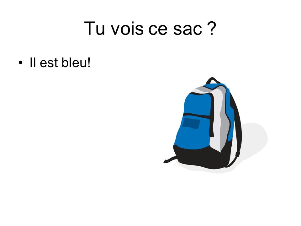Tu vois ce sac Il est bleu!
