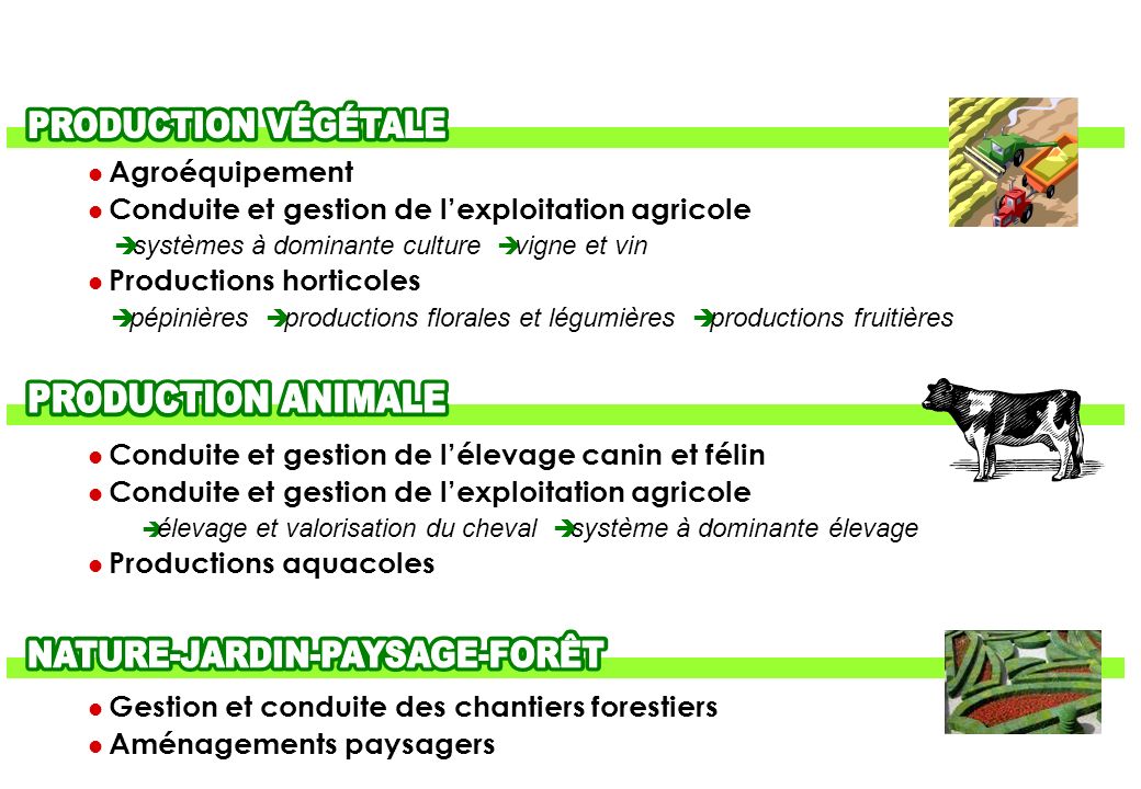 AGRICULTURE-ENVIRONNEMENT- AGROALIMENTAIRE