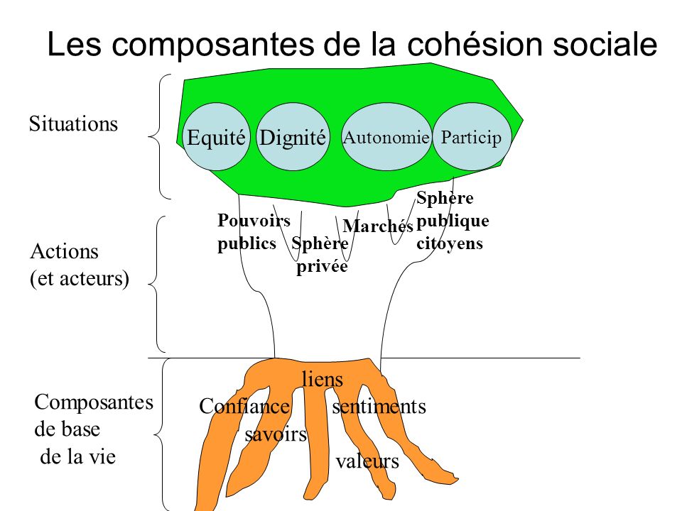 Les composantes de la cohésion sociale